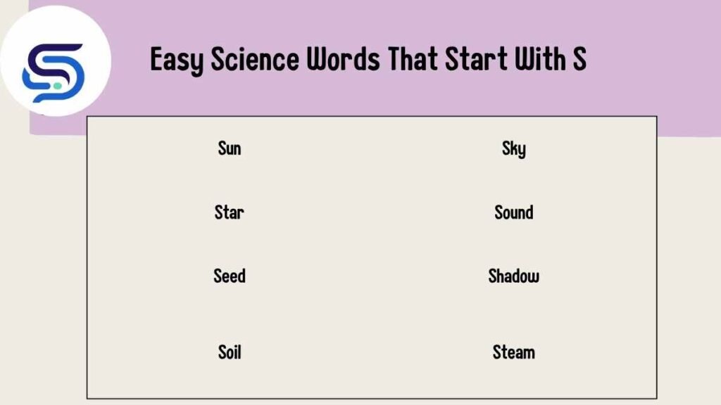 Easy Science Words That Start With S 