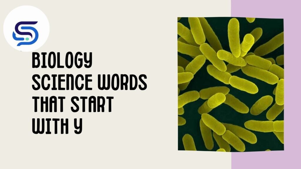Biology Science Words That Start With Y