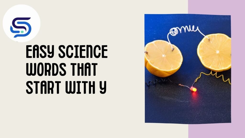 Easy Science Words That Start With Y