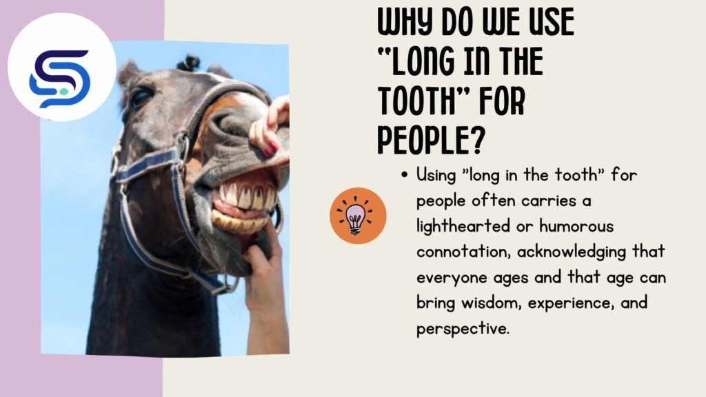 Long in The Tooth Meaning (1)