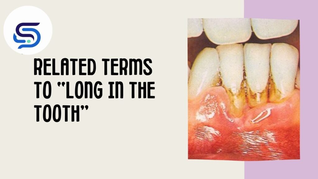 Related Terms to “Long in the Tooth Meaning”