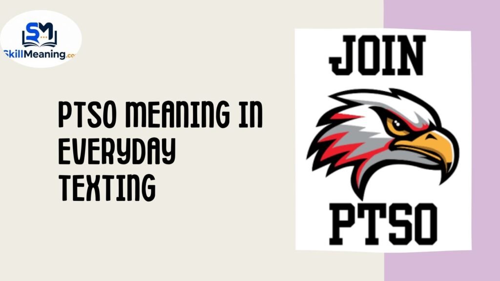 PTSO Meaning in Everyday Texting